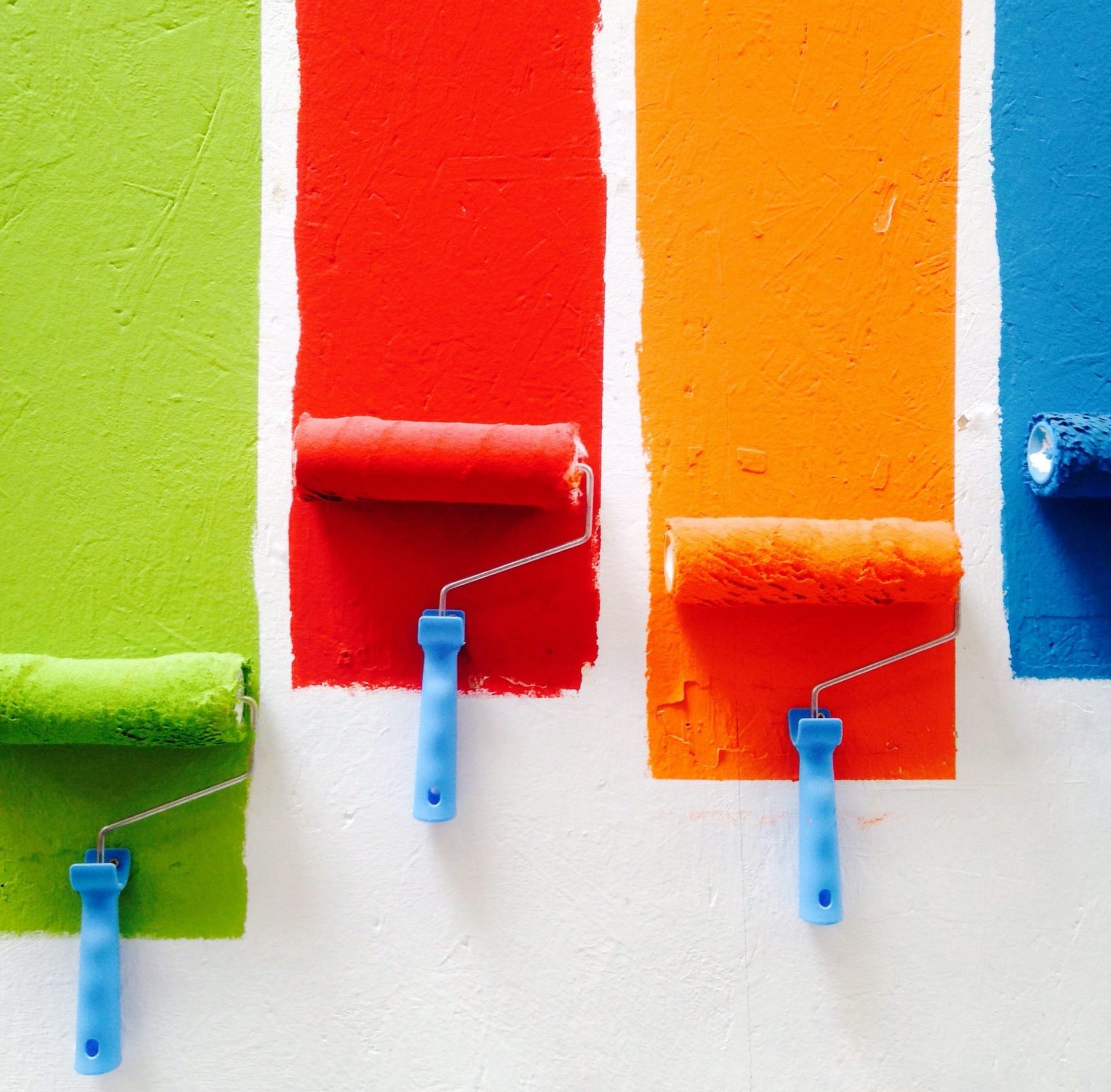 What is Colour Vision Deficiency? | Bayside Eyecare